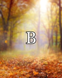 (B) Fall Background