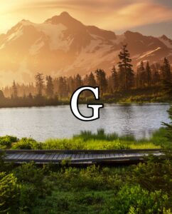 (G) Fall Background