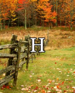(H) Fall Background
